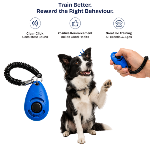 Dog Training Clicker – Assorted Colour
